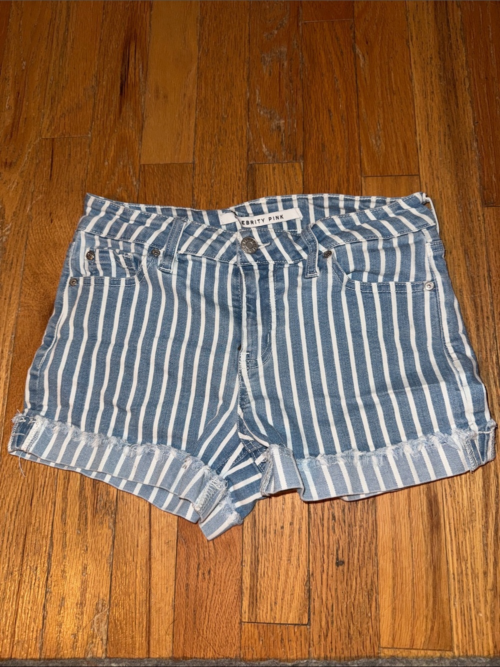 Celebrity Pink Blue and White Striped Denim Shorts
